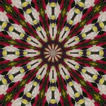 Red Purple Yellow White