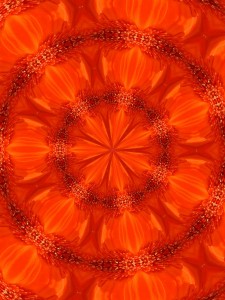 Gerbera Three kaleidoscope Orange Black