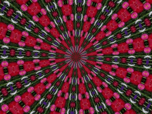 Kaleidoscope Cranberries Red Green Pink Purple White